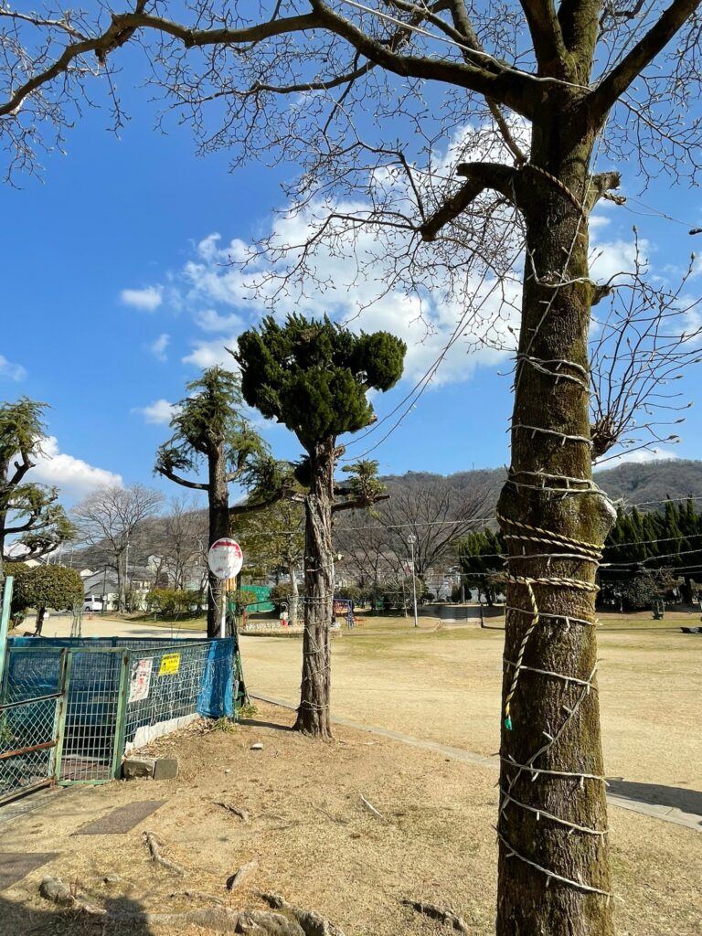 timeline_20210213_134043