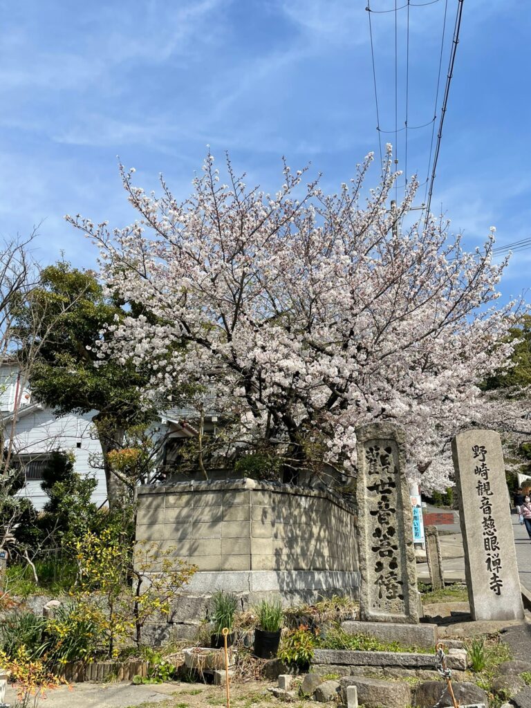 timeline_20210327_162355
