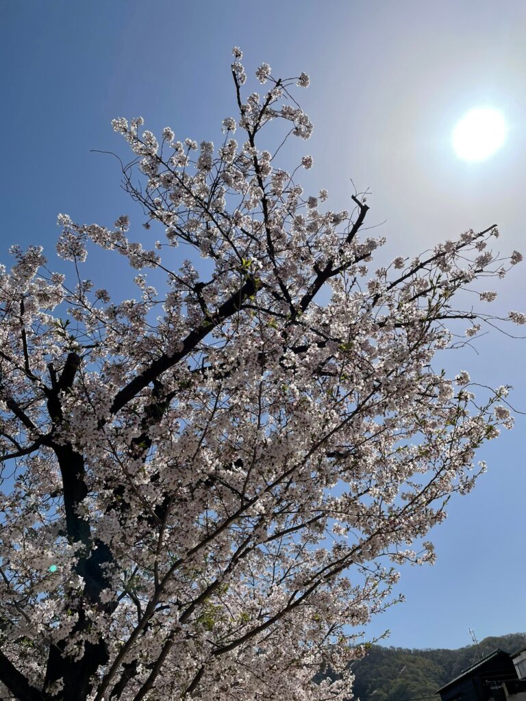 timeline_20210331_172109