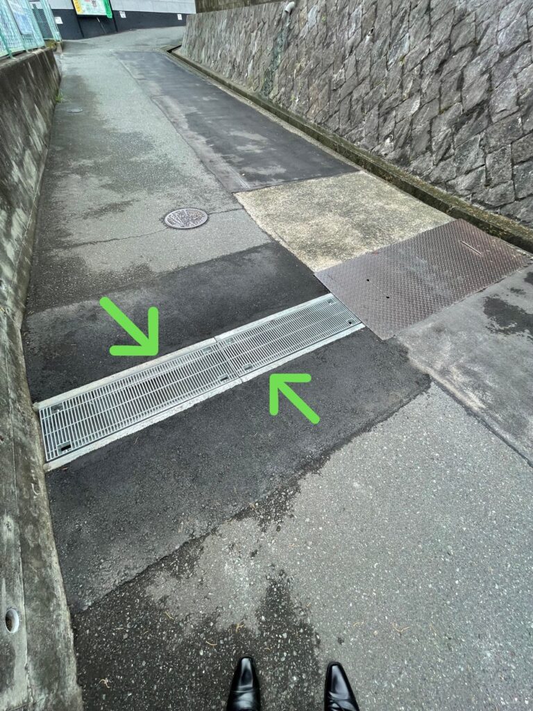 S__49266724